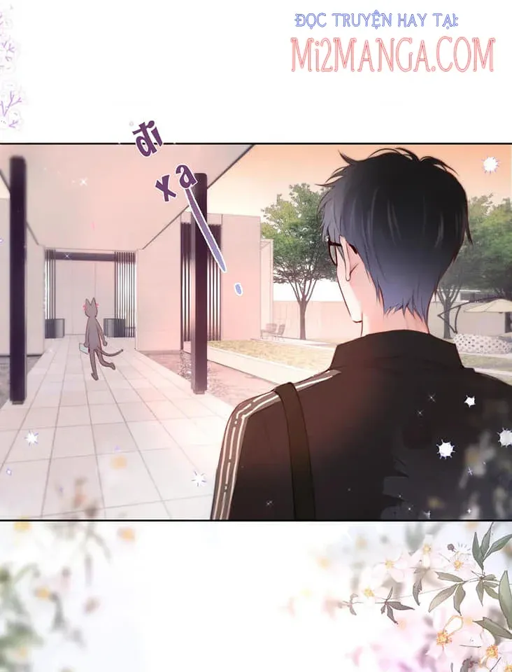 Cạm Bẫy Của Hồ Ly Chapter 11.5 - 4