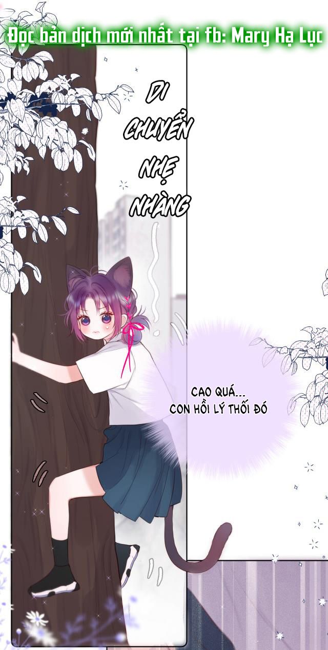 Cạm Bẫy Của Hồ Ly Chapter 4.1 - 18