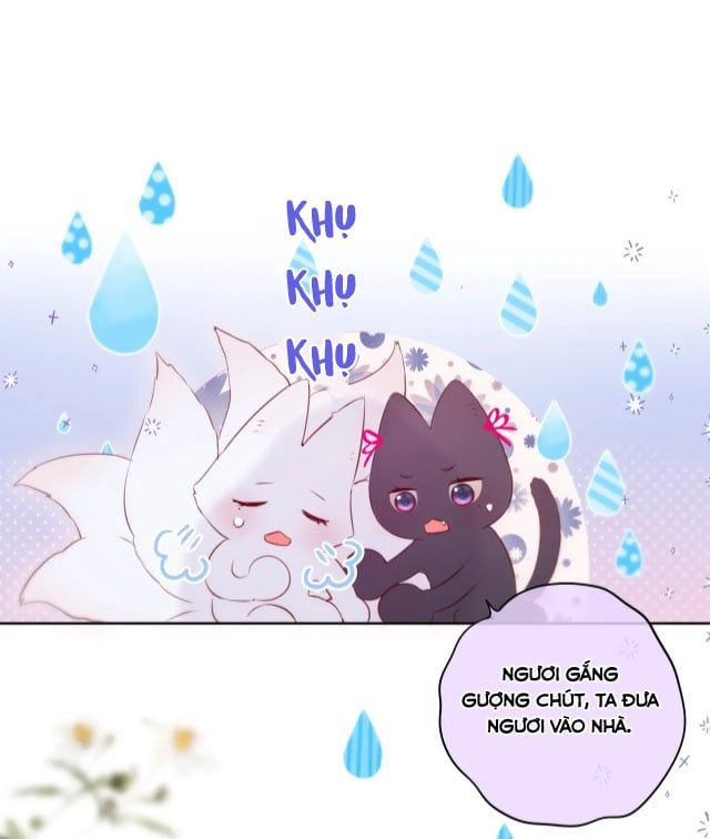 Cạm Bẫy Của Hồ Ly Chapter 8.5 - 12