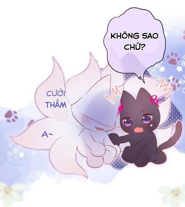 Cạm Bẫy Của Hồ Ly Chapter 8.5 - 6