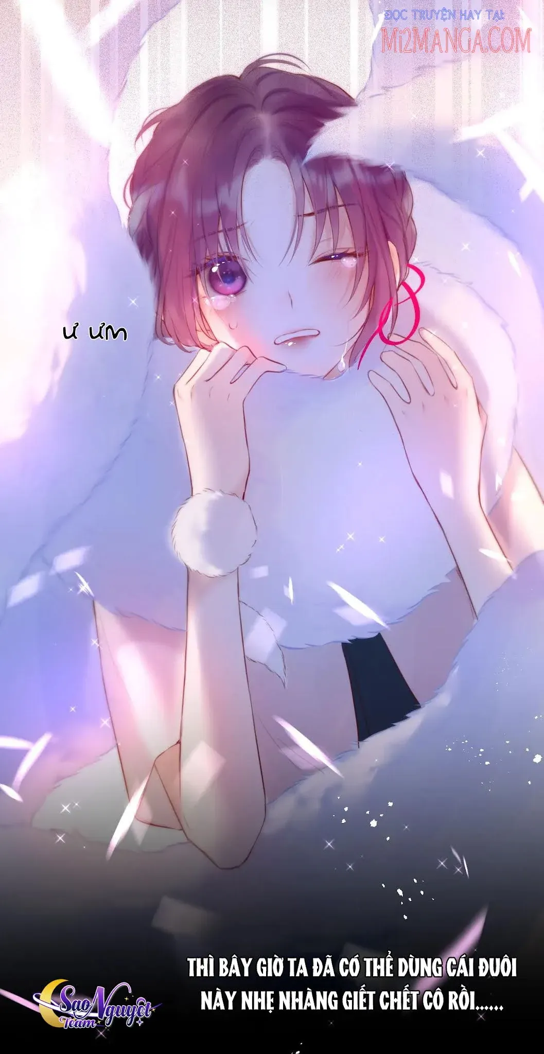 Cạm Bẫy Của Hồ Ly Chapter 9.5 - 11