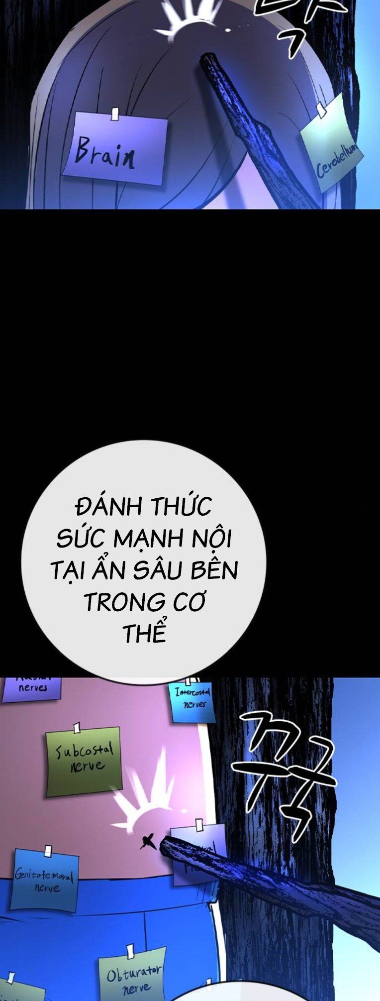 Phòng Gym Hanlim Chapter 171 - 5
