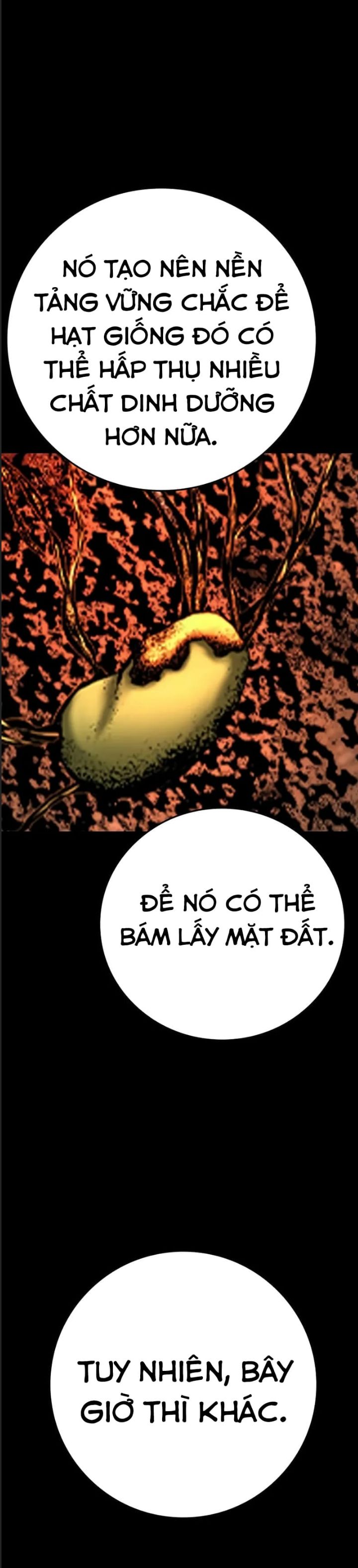 Phòng Gym Hanlim Chapter 204 - 31