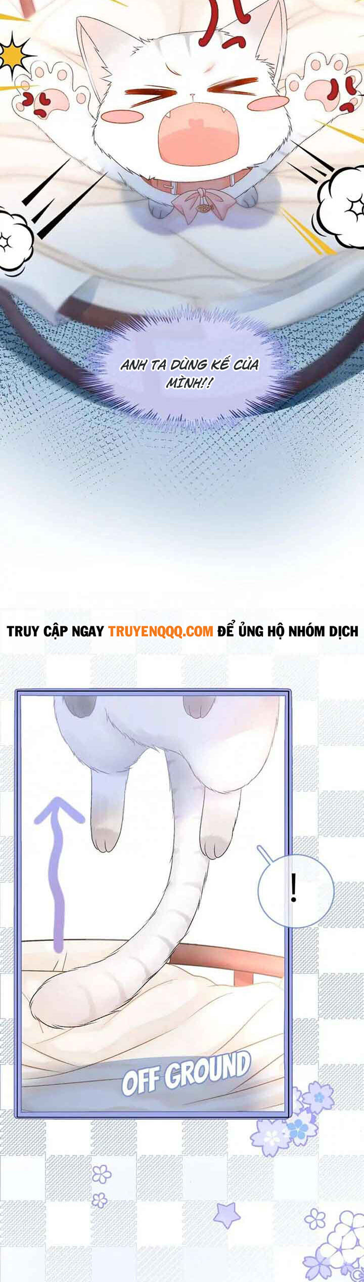 Cô Ấy Ngày Nào Cũng Lên Hot Search! Chapter 36 - 12