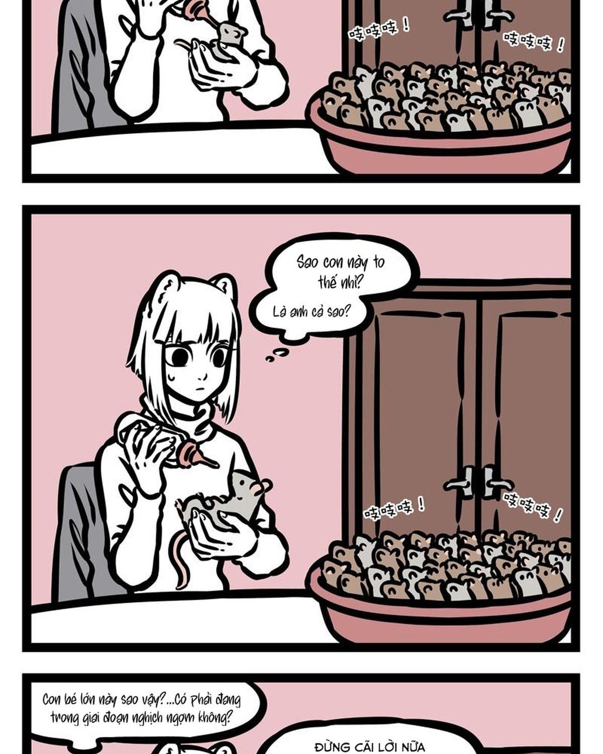 Phi Nhân Chapter 173 - 5