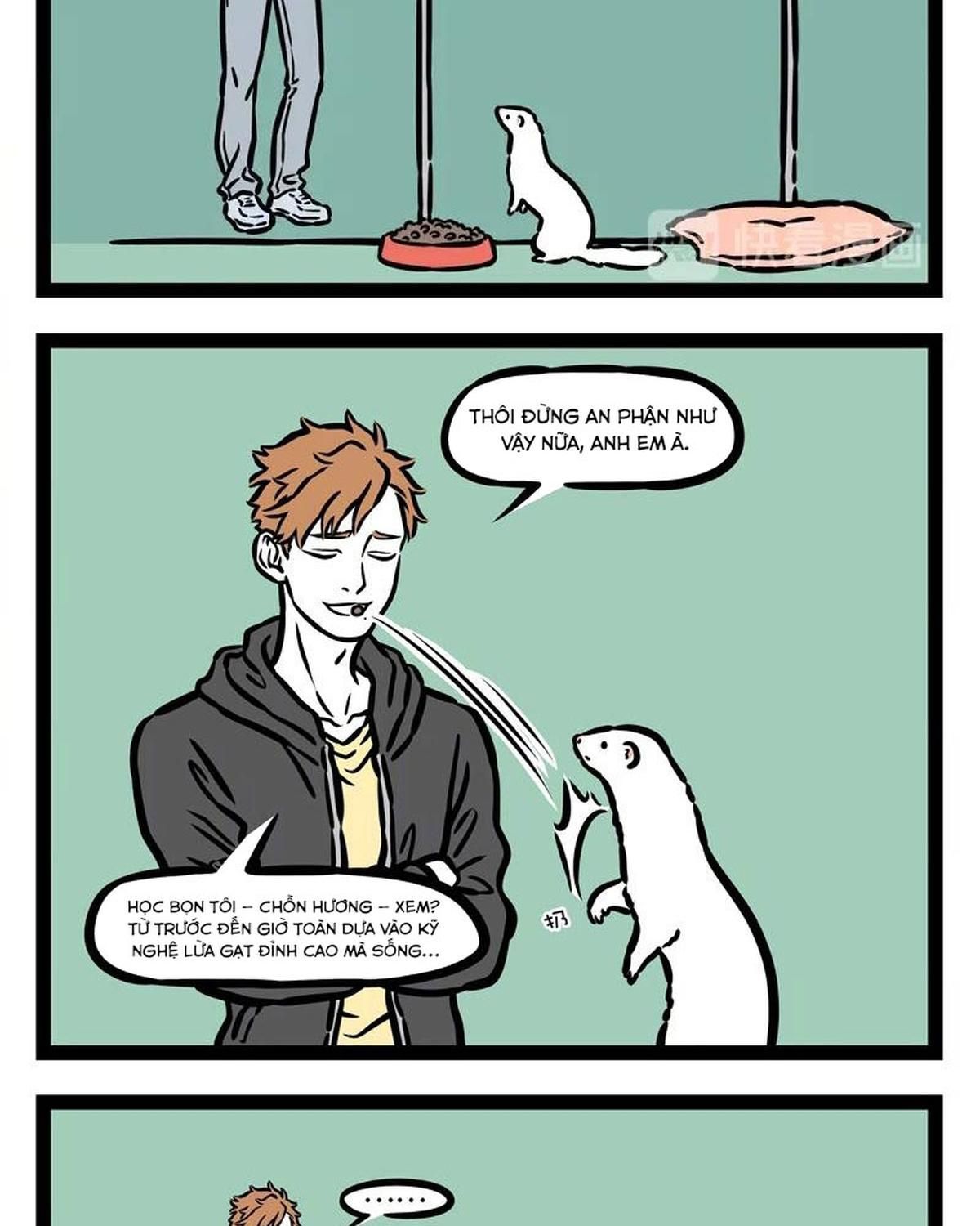 Phi Nhân Chapter 225 - 5
