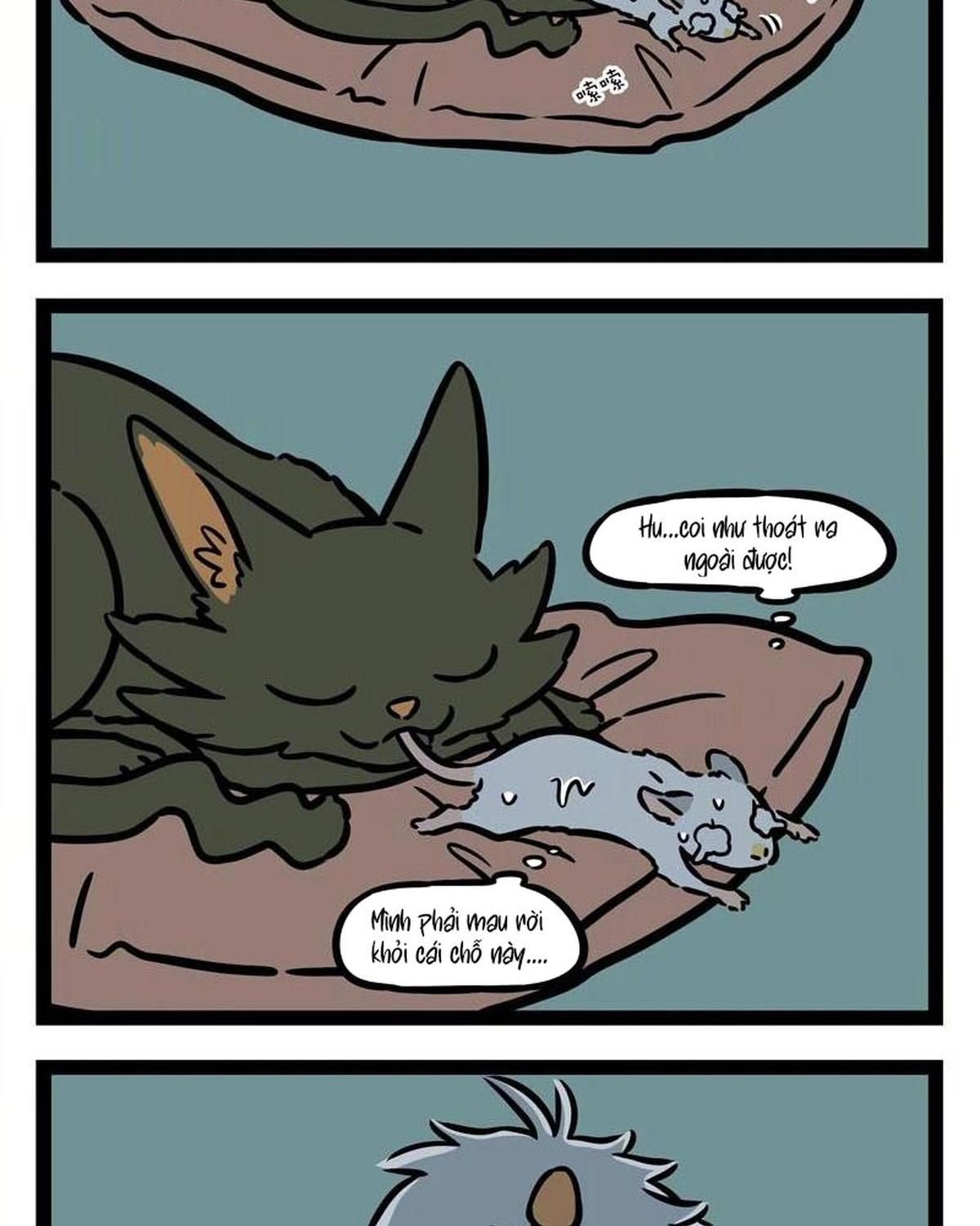 Phi Nhân Chapter 228 - 12