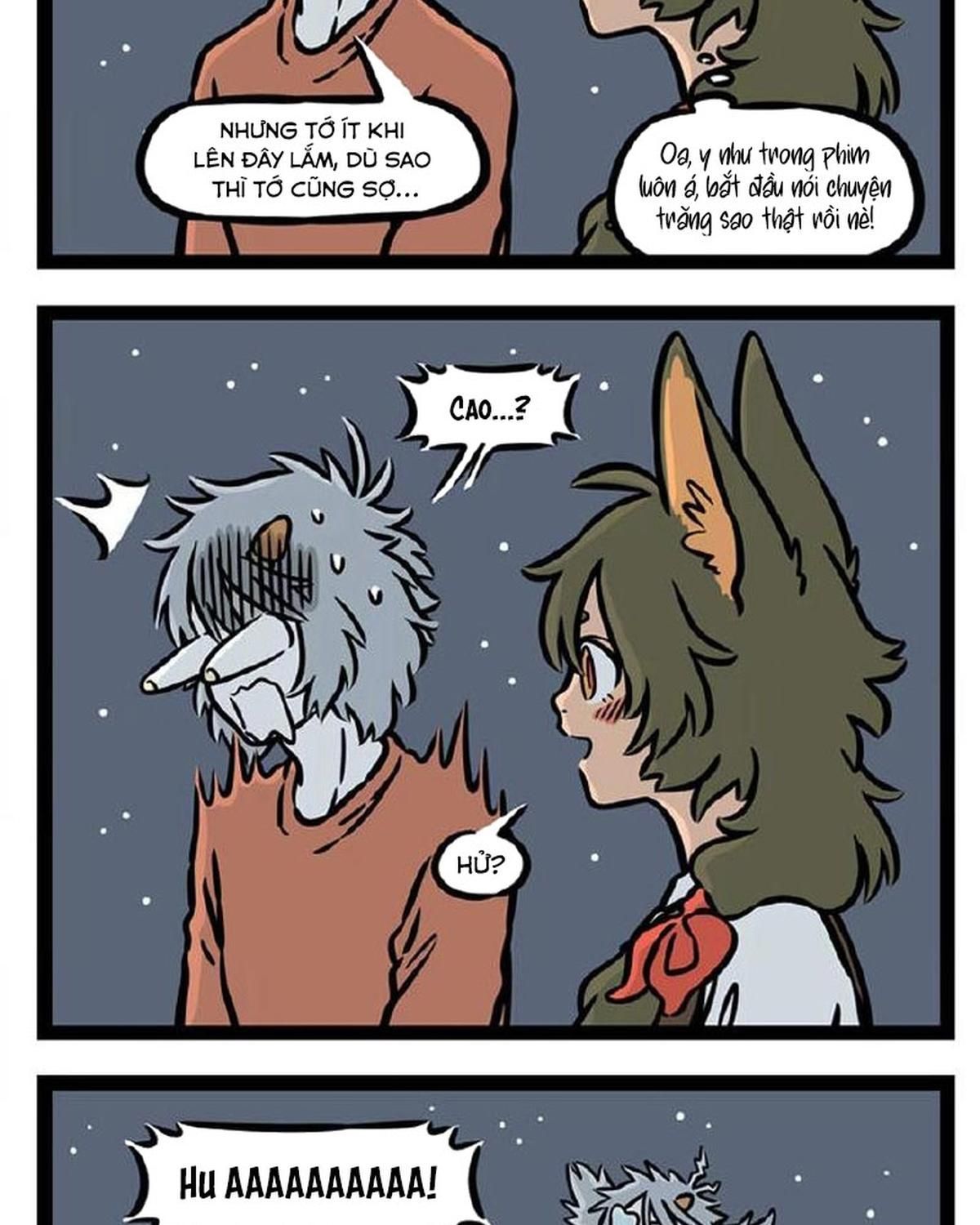 Phi Nhân Chapter 229 - 12