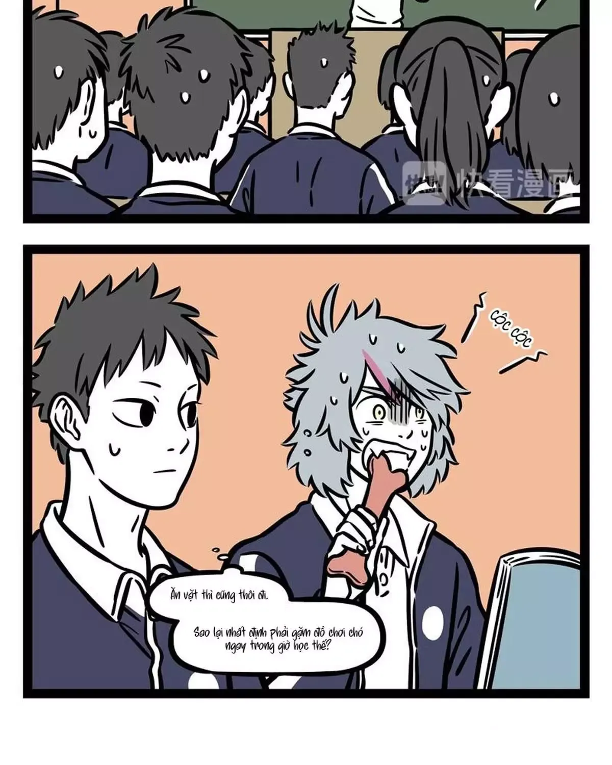 Phi Nhân Chapter 246 - 13