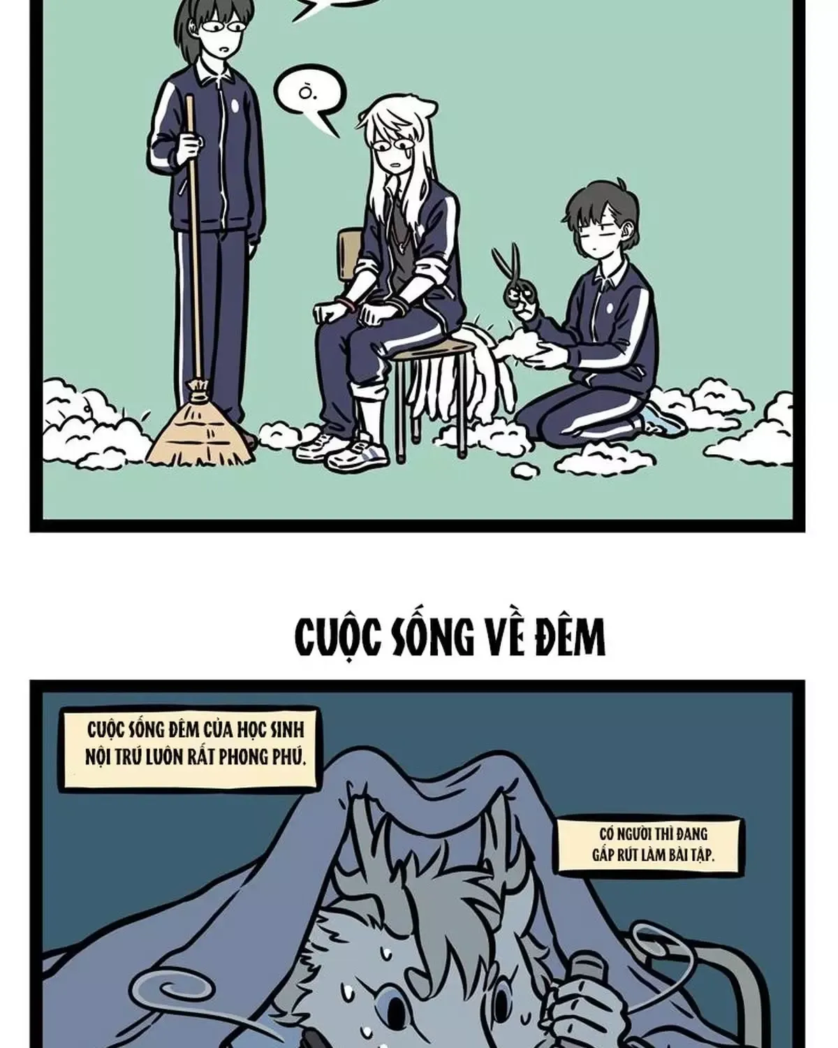 Phi Nhân Chapter 247 - 5