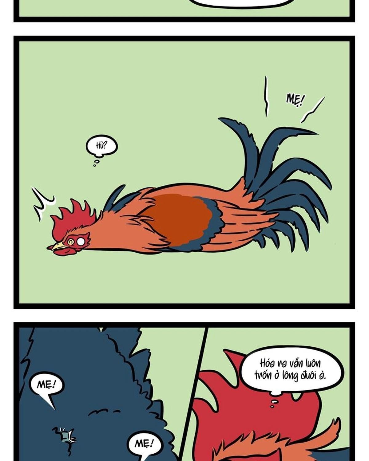 Phi Nhân Chapter 269 - 11