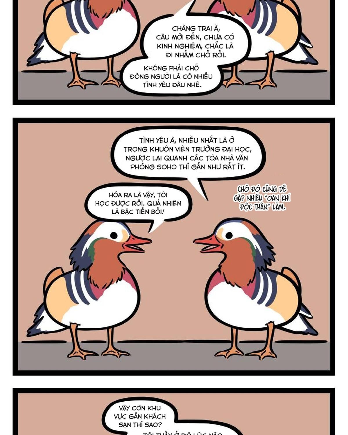 Phi Nhân Chapter 294 - 5