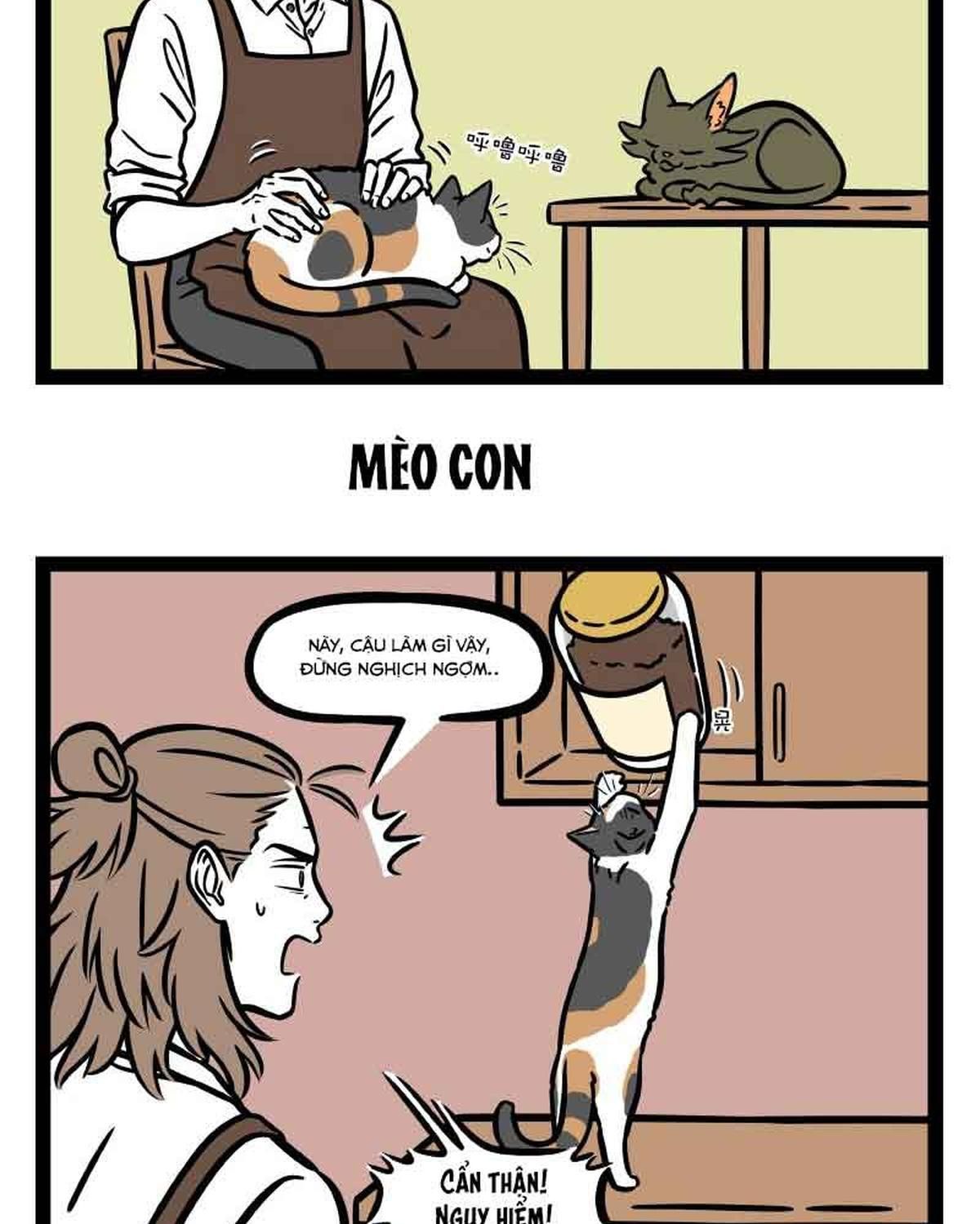 Phi Nhân Chapter 302 - 10