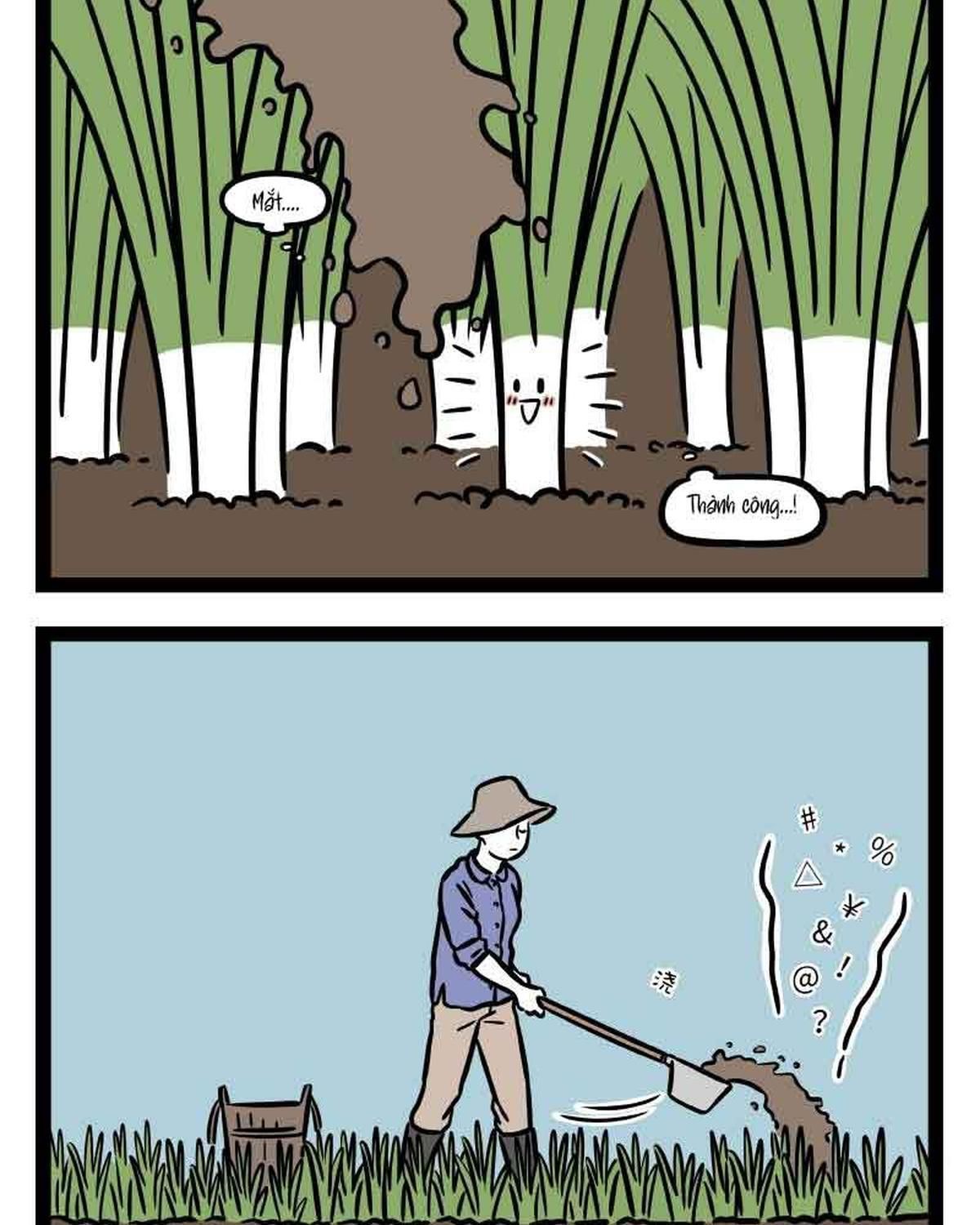 Phi Nhân Chapter 303 - 6