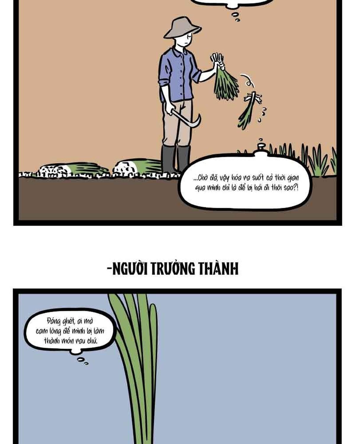 Phi Nhân Chapter 304 - 4