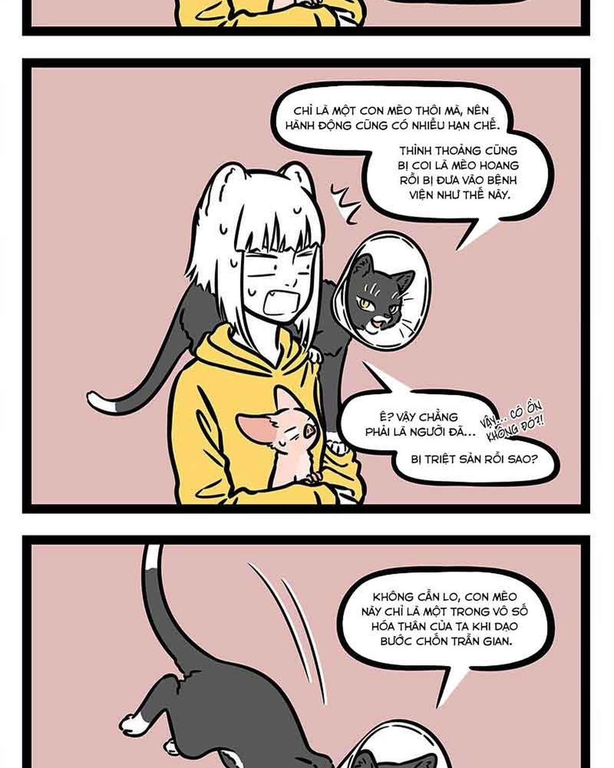 Phi Nhân Chapter 309 - 11