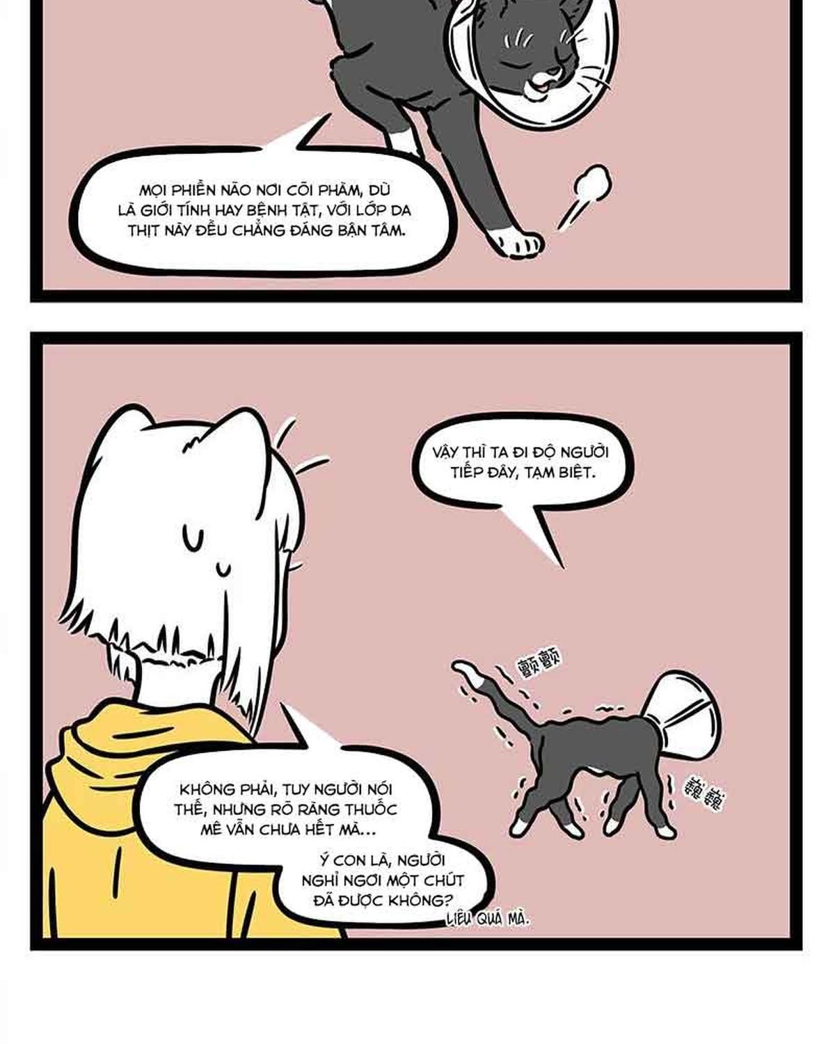 Phi Nhân Chapter 309 - 12