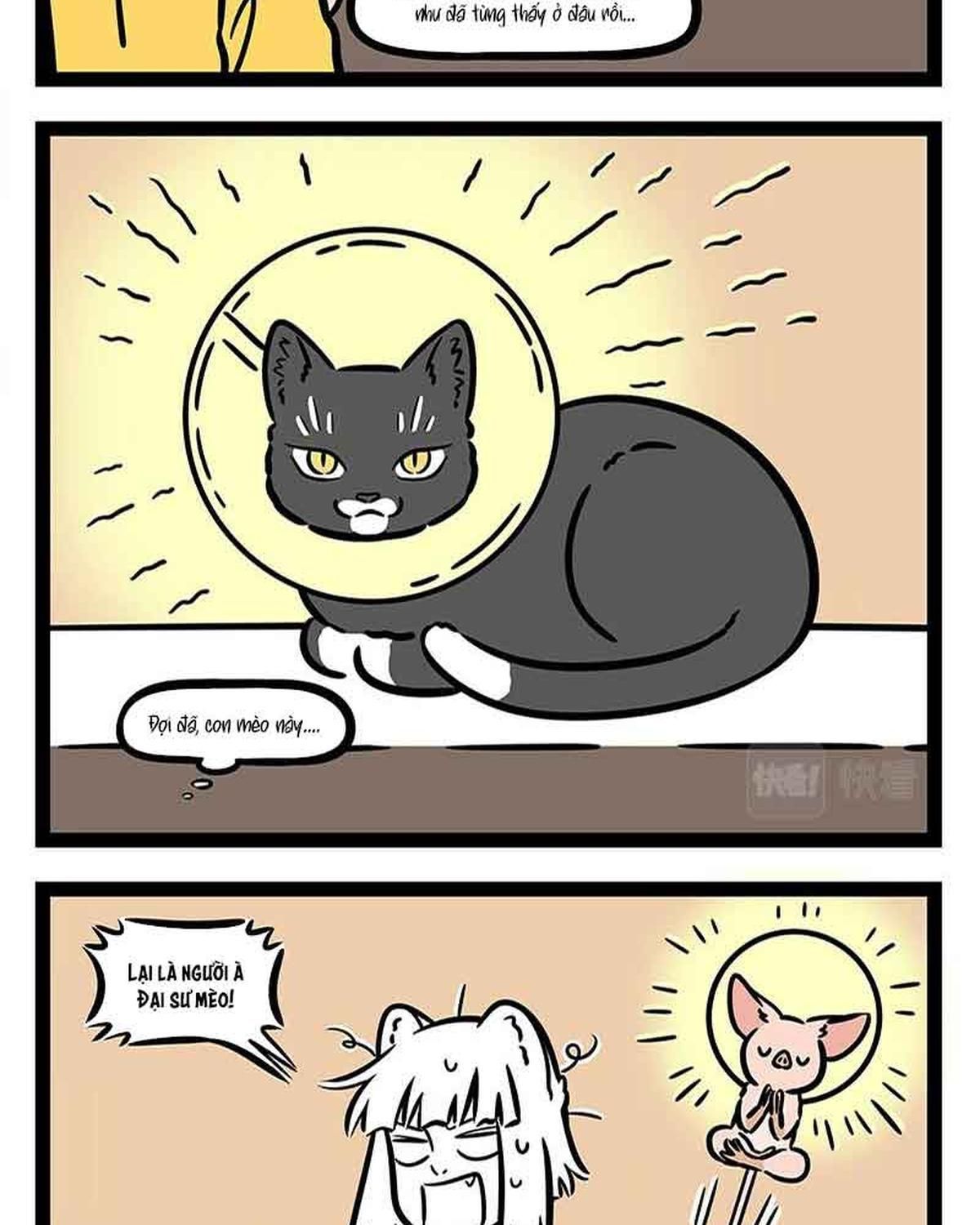 Phi Nhân Chapter 309 - 9