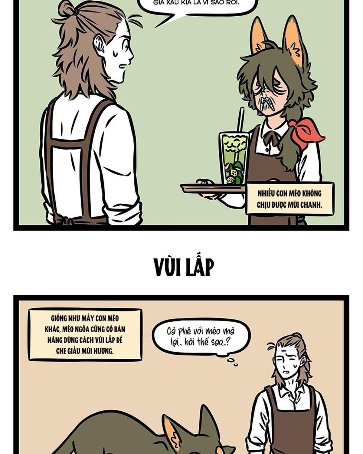 Phi Nhân Chapter 350 - 4
