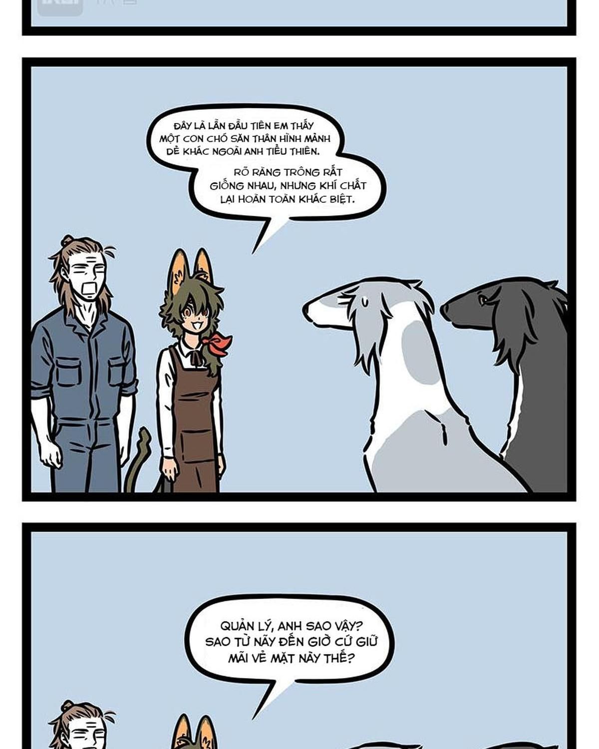 Phi Nhân Chapter 355 - 11