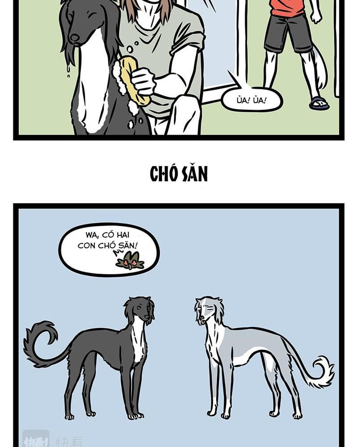Phi Nhân Chapter 355 - 10