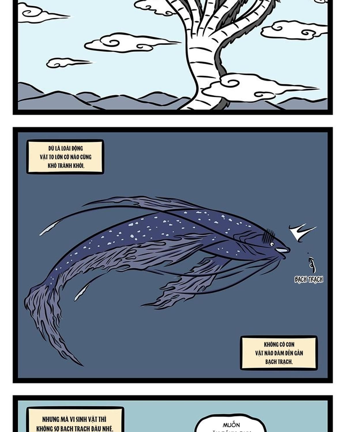 Phi Nhân Chapter 396 - 3