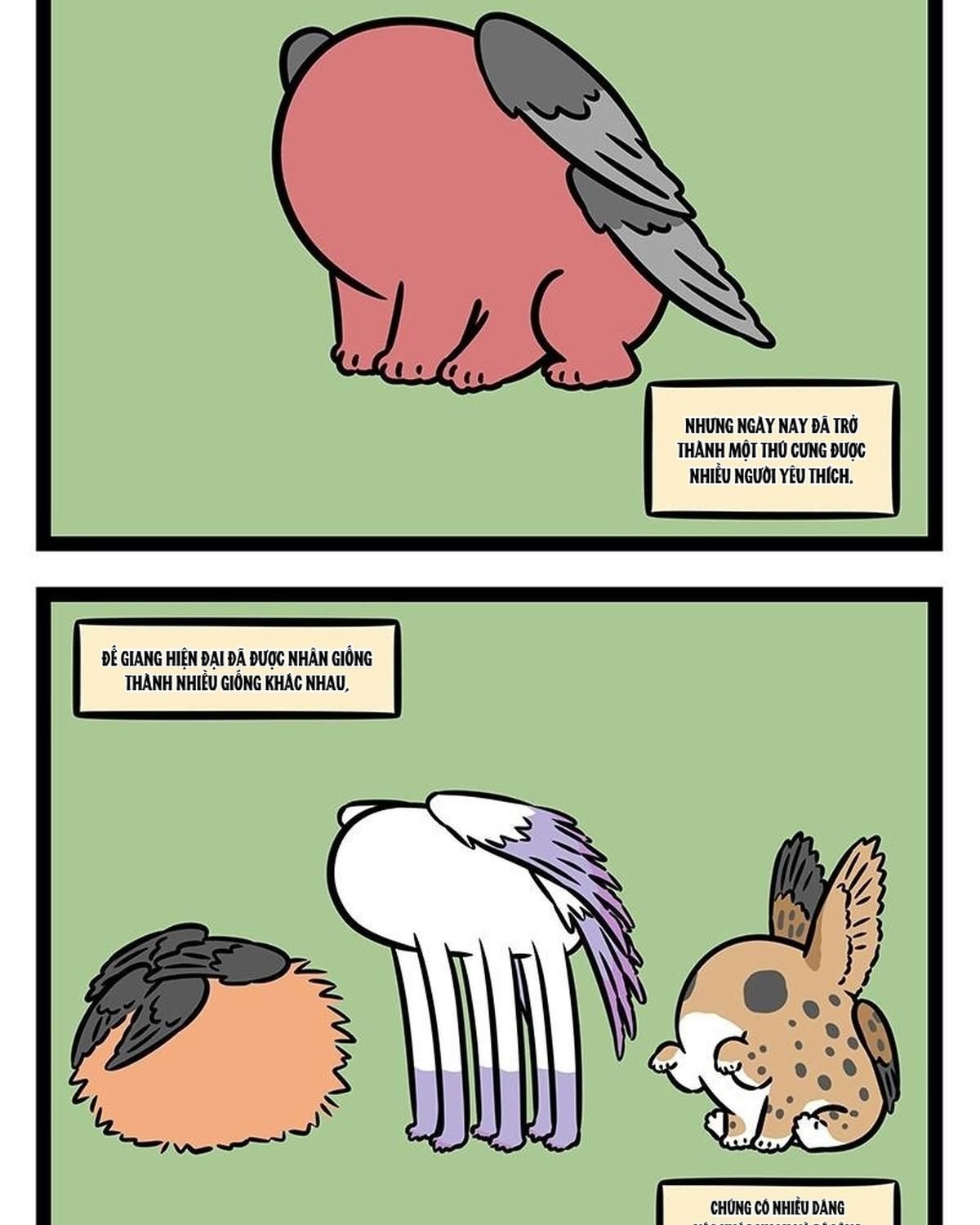 Phi Nhân Chapter 419 - 8