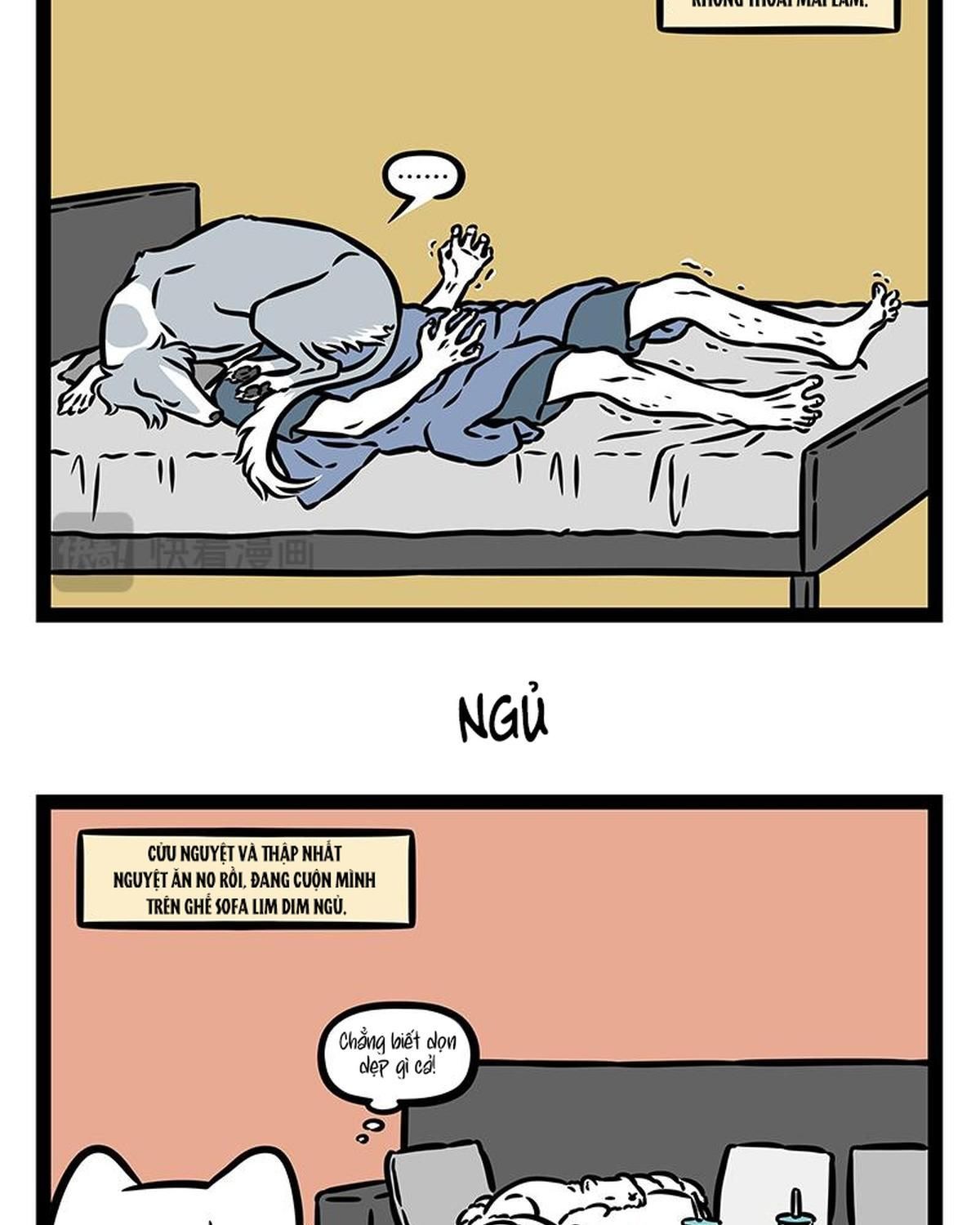 Phi Nhân Chapter 427 - 4