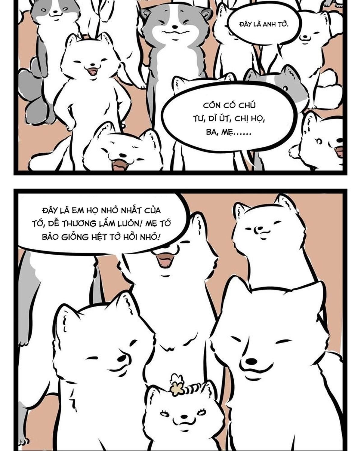 Phi Nhân Chapter 52 - 15