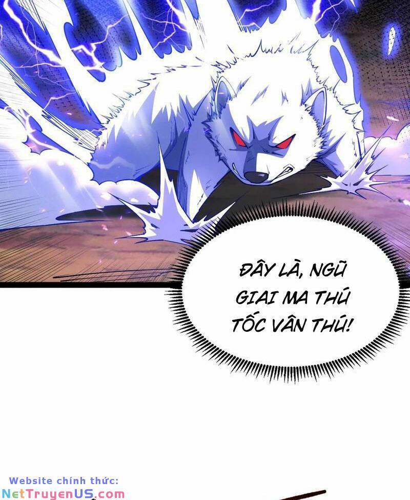 Tân Hỗn Độn Kiếm Thần Chapter 81 - 55