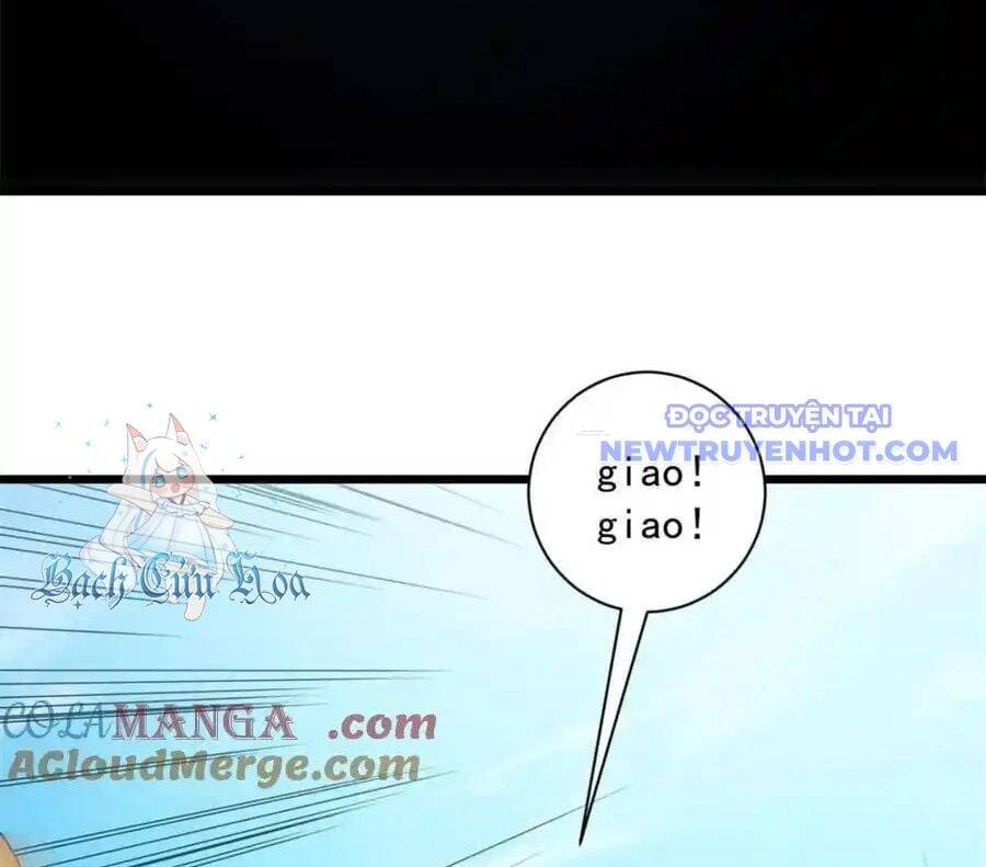 Ta Chính Là Không Theo Sáo Lộ Ra Bài Chapter 287 - 17