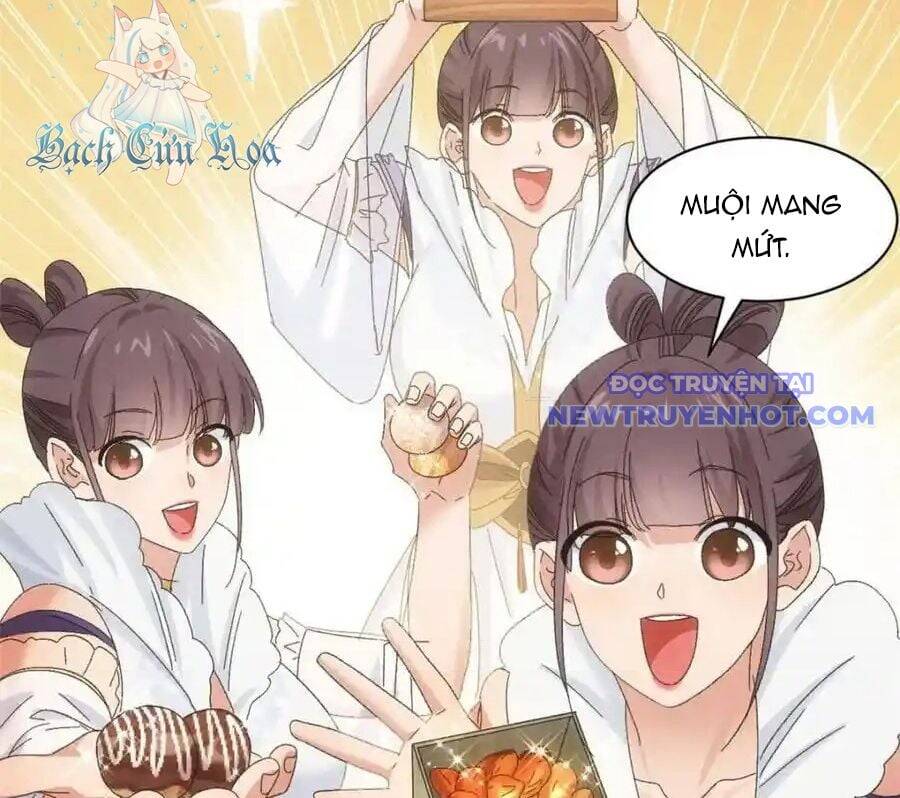 Ta Chính Là Không Theo Sáo Lộ Ra Bài Chapter 297 - 15