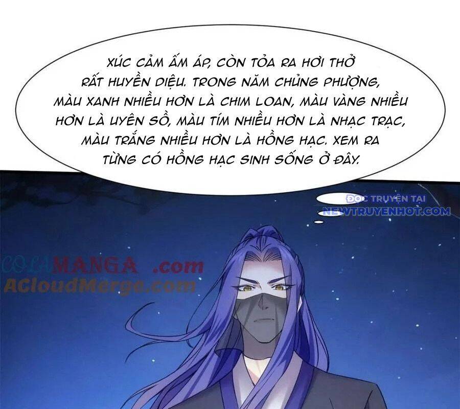 Ta Chính Là Không Theo Sáo Lộ Ra Bài Chapter 311 - 16
