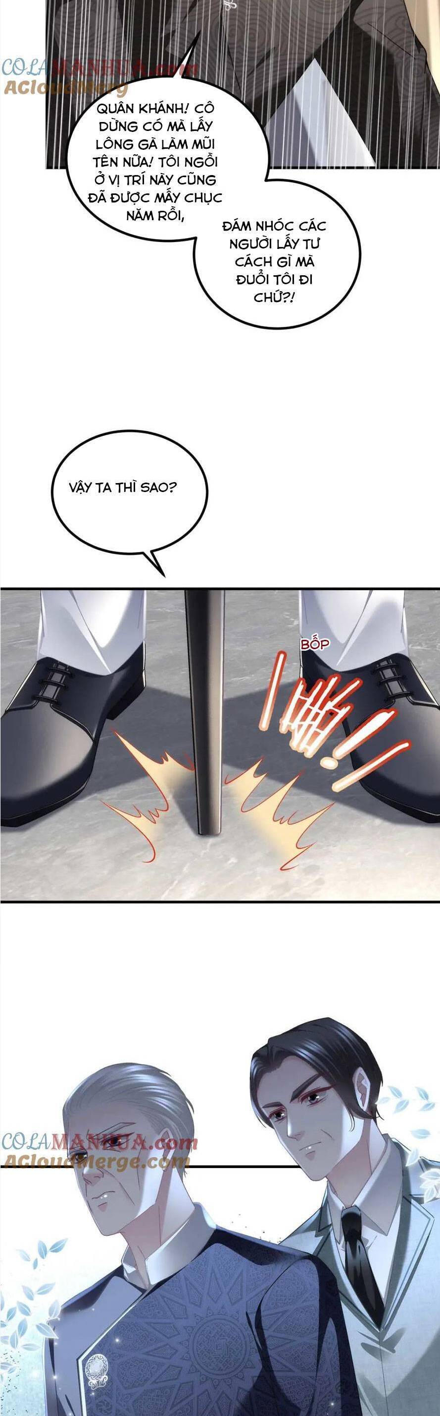 Bảo Bối Của Lão Đại Đã Xuyên Không Trở Về! Chapter 215 - 11