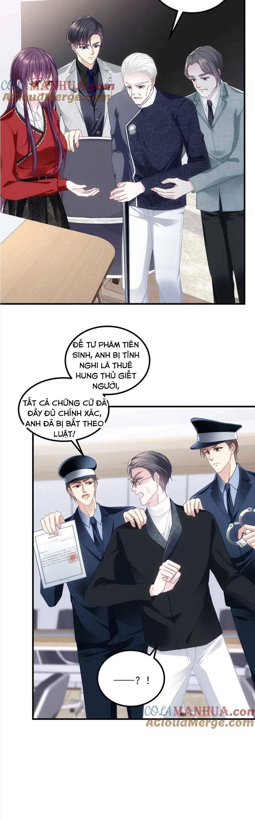 Bảo Bối Của Lão Đại Đã Xuyên Không Trở Về! Chapter 215 - 13