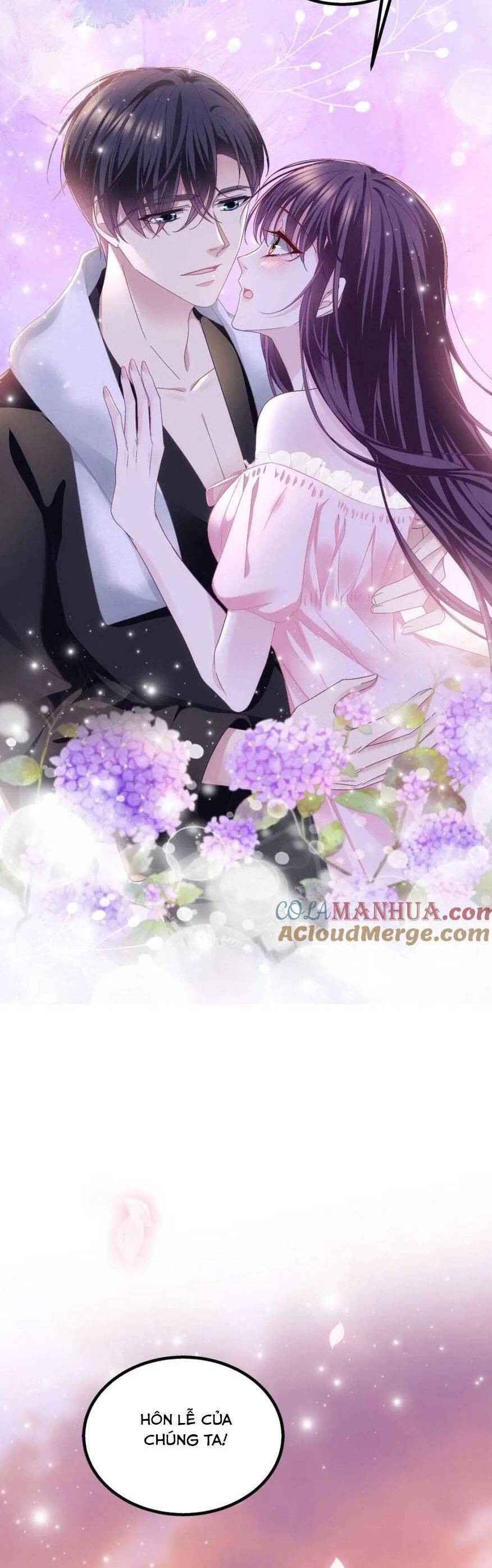 Bảo Bối Của Lão Đại Đã Xuyên Không Trở Về! Chapter 215 - 19