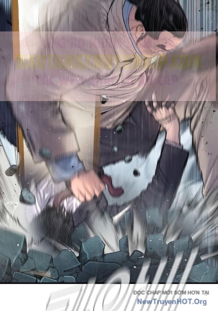 Bố Tôi Là Đặc Vụ Chapter 207 - 65