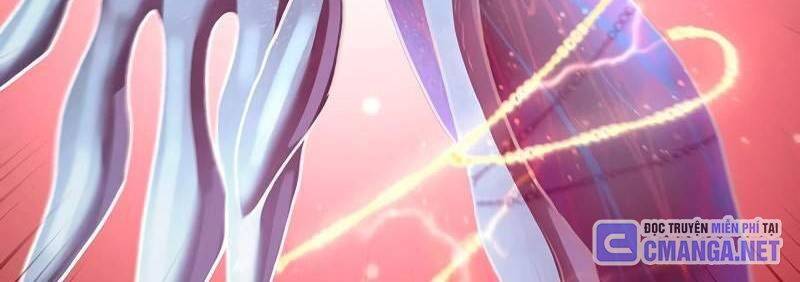 Những Ranker Cấp S Mà Tôi Nuôi Dưỡng Chapter 146 - 258