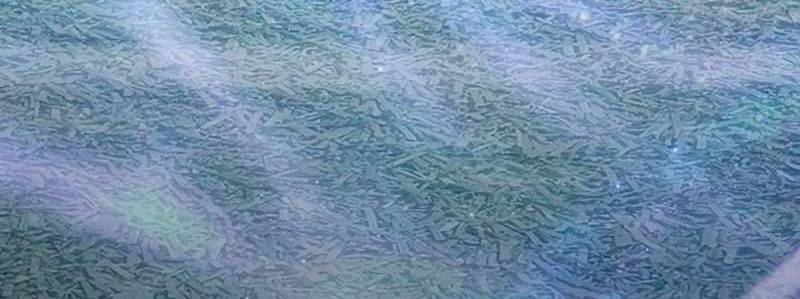 Những Ranker Cấp S Mà Tôi Nuôi Dưỡng Chapter 146 - 40