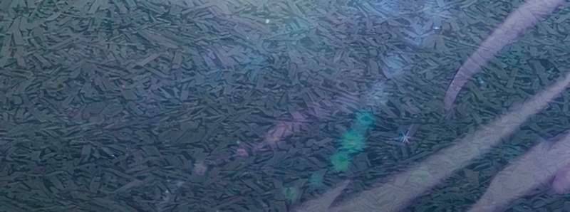 Những Ranker Cấp S Mà Tôi Nuôi Dưỡng Chapter 146 - 41