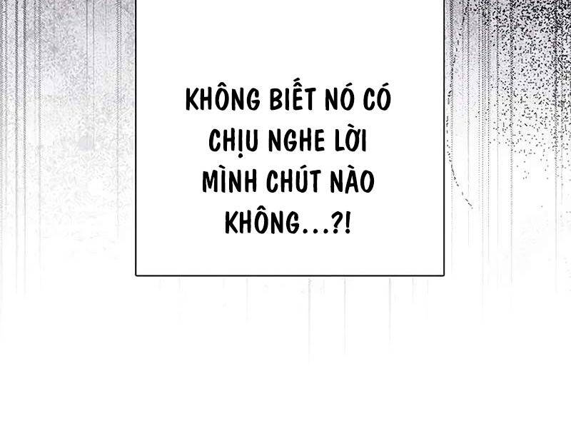 Những Ranker Cấp S Mà Tôi Nuôi Dưỡng Chapter 145 - 26