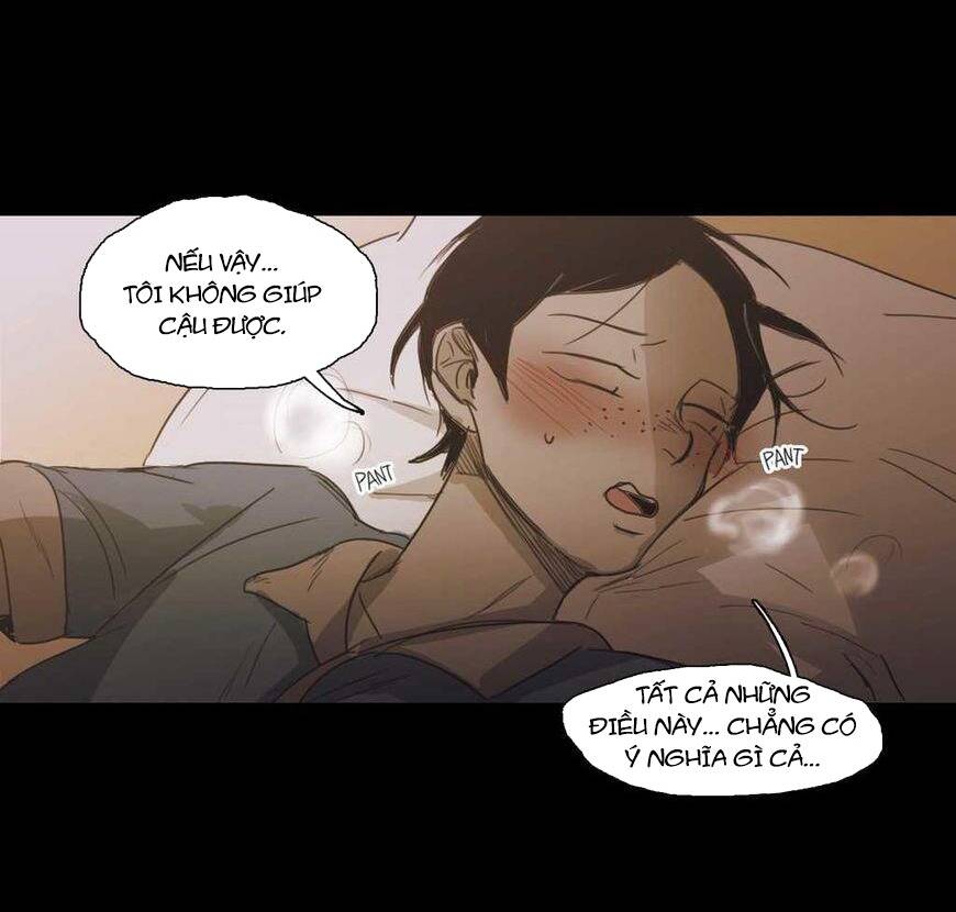 Không Bao Giờ Hiểu Chapter 54 - 96