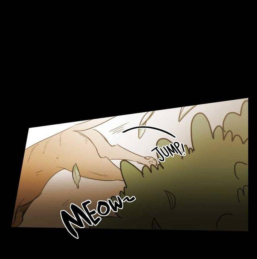 Không Bao Giờ Hiểu Chapter 55 - 99