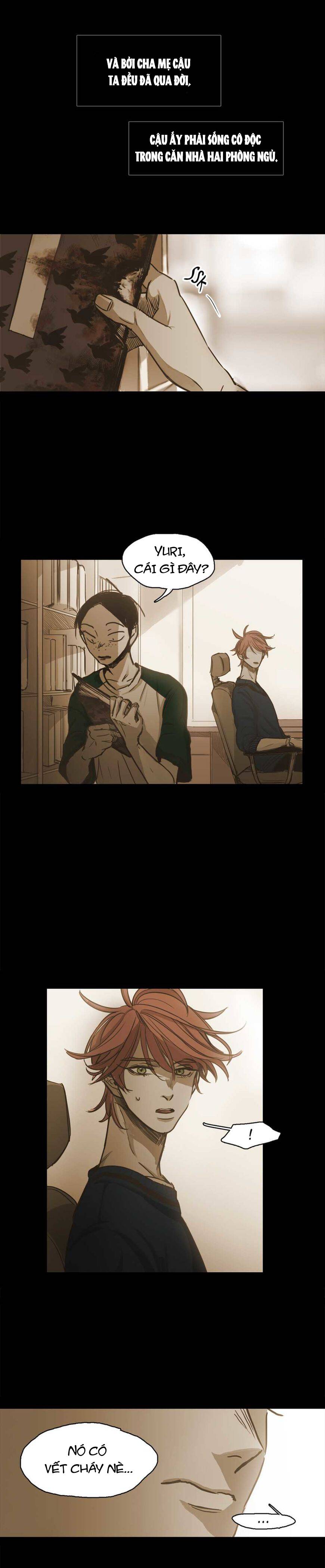 Không Bao Giờ Hiểu Chapter 61 - 14