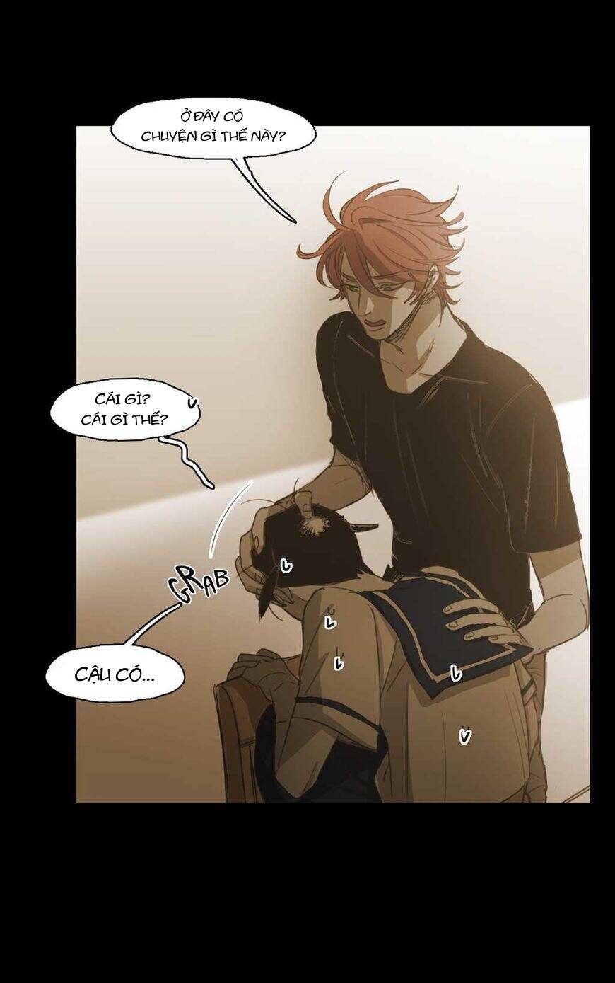 Không Bao Giờ Hiểu Chapter 67 - 11