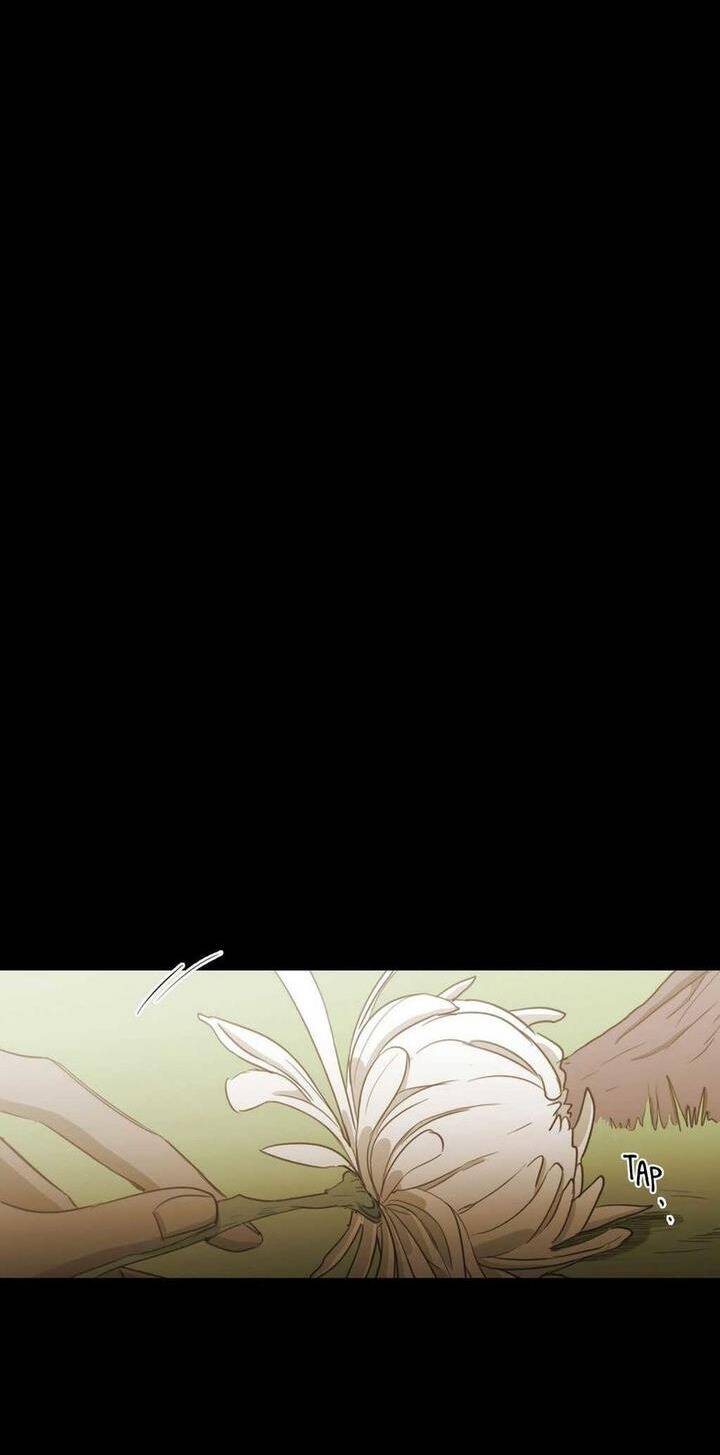 Không Bao Giờ Hiểu Chapter 69 - 72