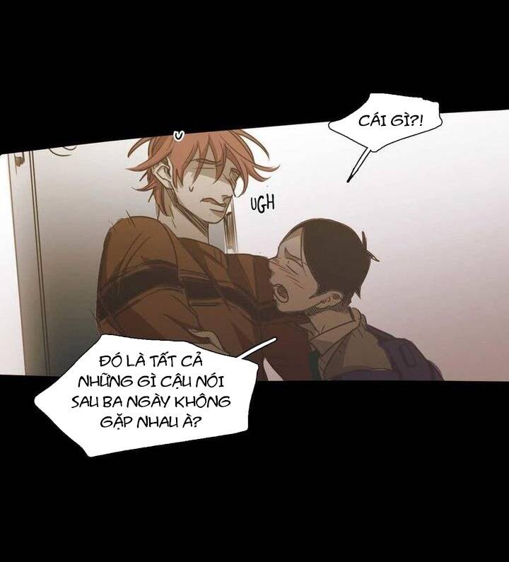 Không Bao Giờ Hiểu Chapter 70 - 67