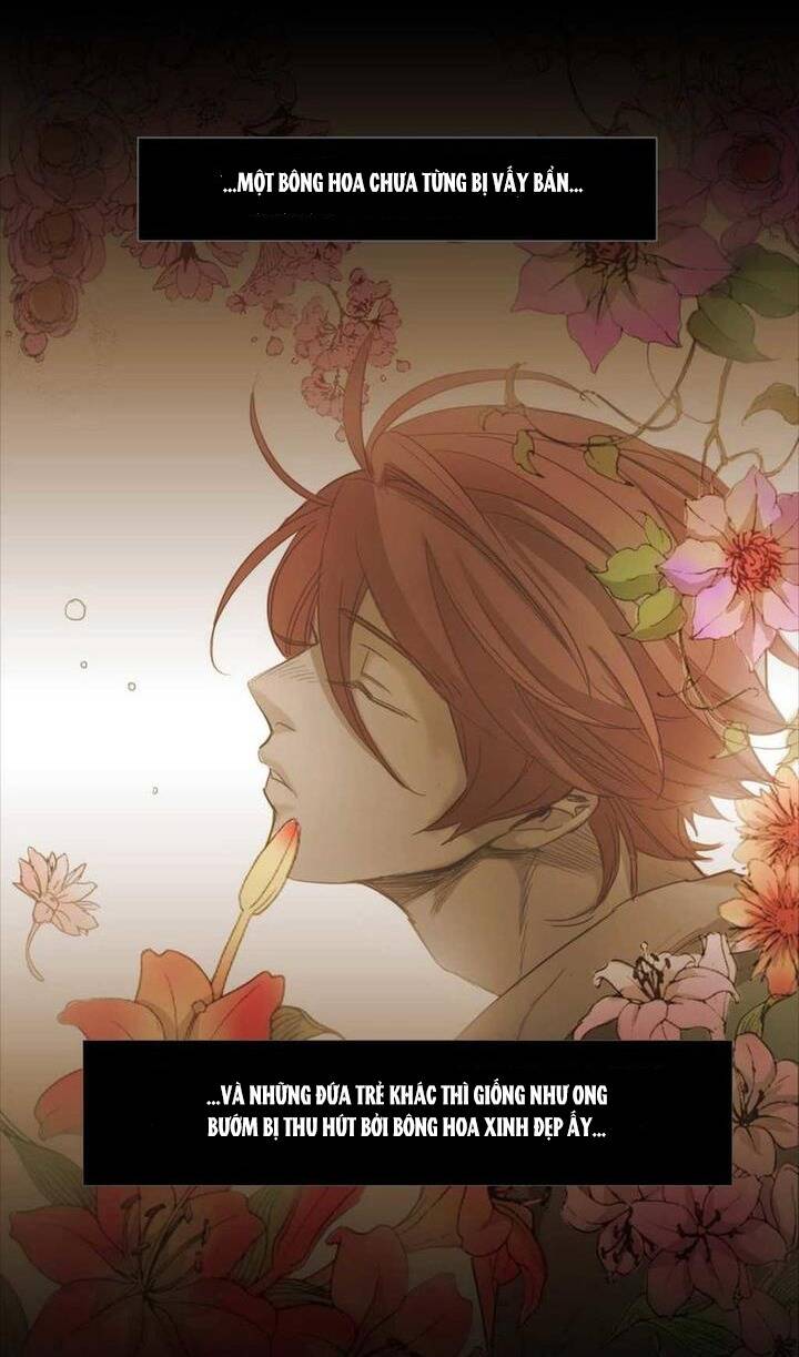 Không Bao Giờ Hiểu Chapter 73 - 75