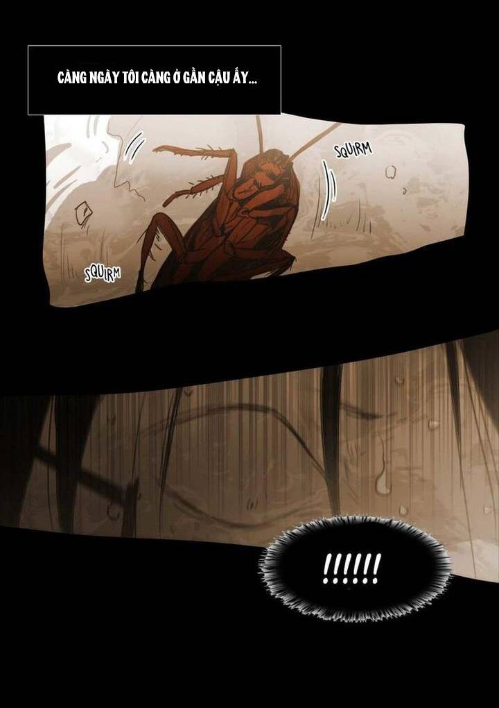 Không Bao Giờ Hiểu Chapter 73 - 100