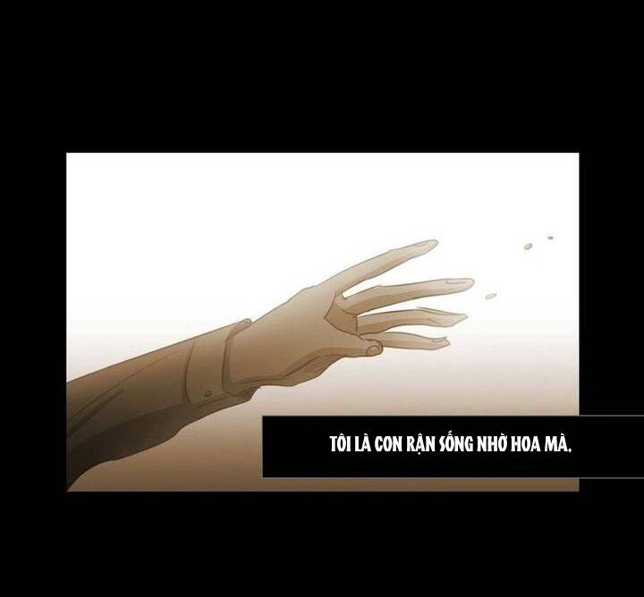 Không Bao Giờ Hiểu Chapter 74 - 65